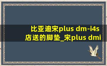 比亚迪宋plus dm-i4s店送的脚垫_宋plus dmi4s送的脚垫